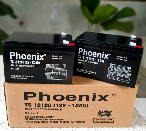 Ắc Quy Phoenix TS12120 (12v12ah)
